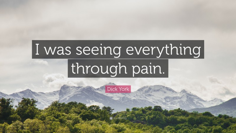 Dick York Quote: “I was seeing everything through pain.”