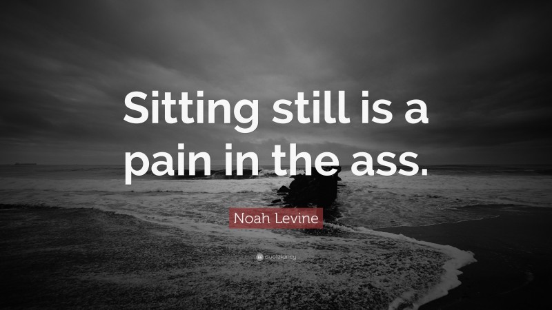 Noah Levine Quote: “Sitting still is a pain in the ass.”