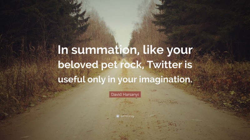 David Harsanyi Quote: “In summation, like your beloved pet rock, Twitter is useful only in your imagination.”