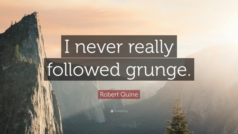 Robert Quine Quote: “I never really followed grunge.”