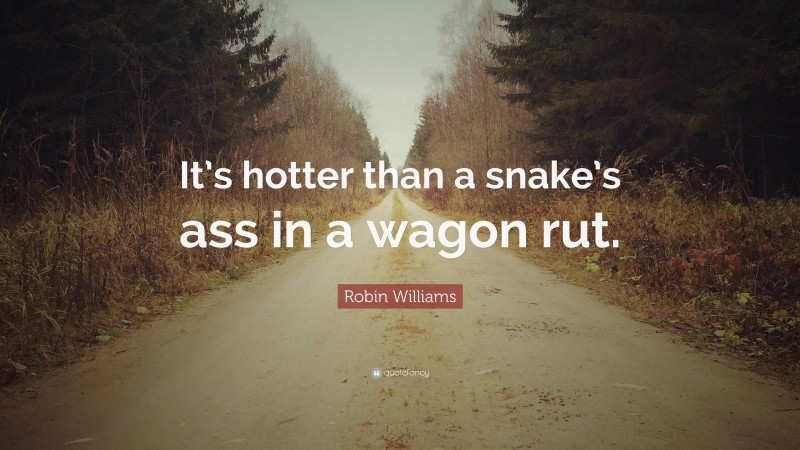 Robin Williams Quote: “It’s hotter than a snake’s ass in a wagon rut.”