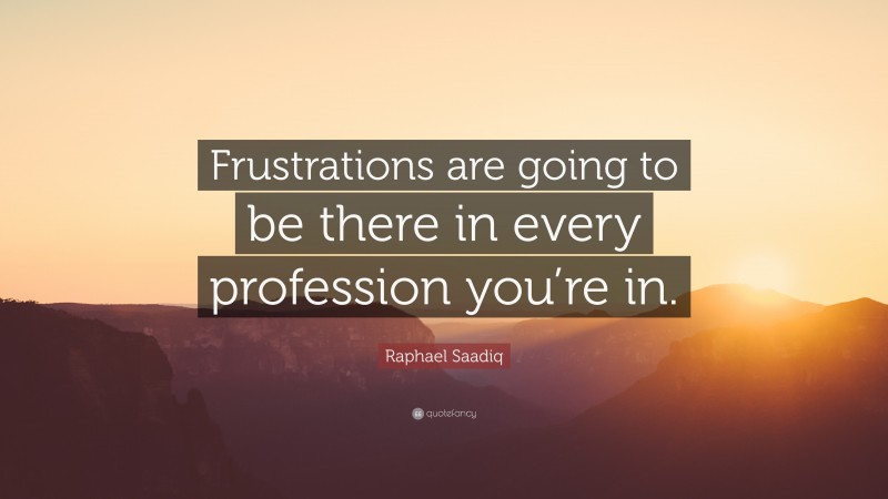 Raphael Saadiq Quote: “Frustrations are going to be there in every profession you’re in.”