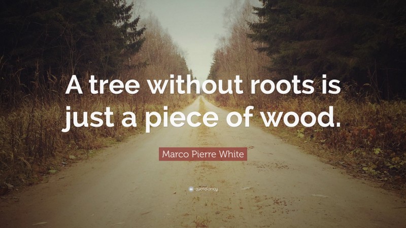 Marco Pierre White Quote: “A tree without roots is just a piece of wood.”