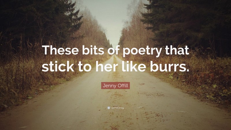 Jenny Offill Quote: “These bits of poetry that stick to her like burrs.”