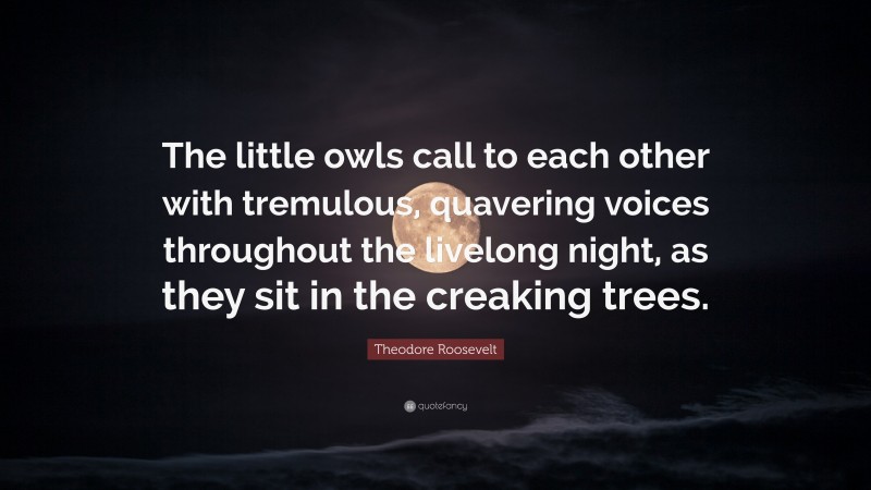 Theodore Roosevelt Quote: “The little owls call to each other with tremulous, quavering voices throughout the livelong night, as they sit in the creaking trees.”