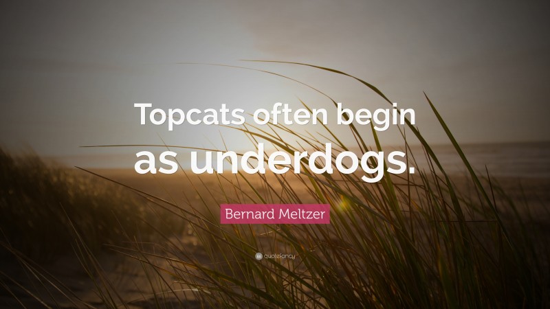 Bernard Meltzer Quote: “Topcats often begin as underdogs.”