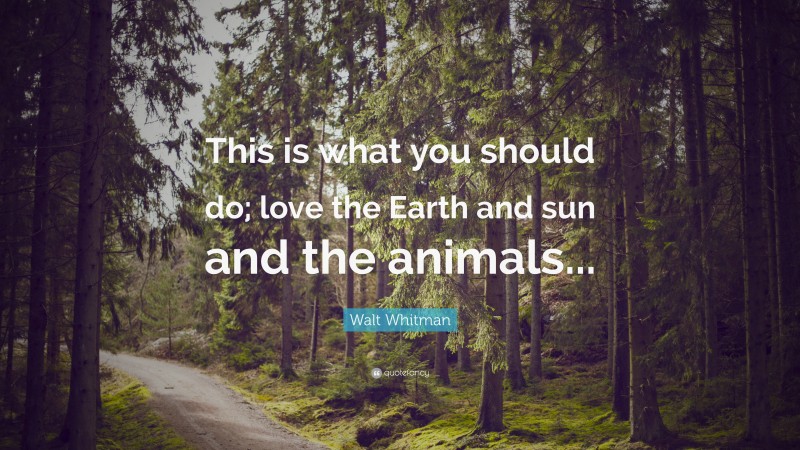 Walt Whitman Quote: “This is what you should do; love the Earth and sun and the animals...”