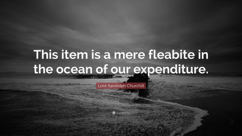 Lord Randolph Churchill Quote: “This item is a mere fleabite in the ocean of our expenditure.”