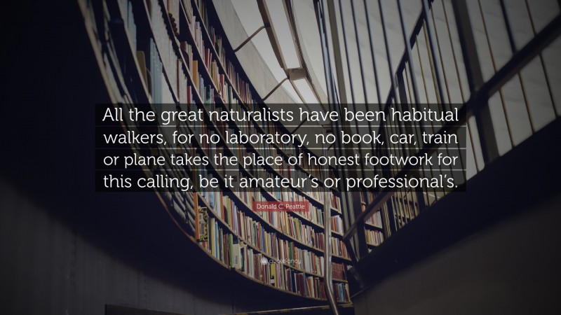 Donald C. Peattie Quote: “All the great naturalists have been habitual walkers, for no laboratory, no book, car, train or plane takes the place of honest footwork for this calling, be it amateur’s or professional’s.”