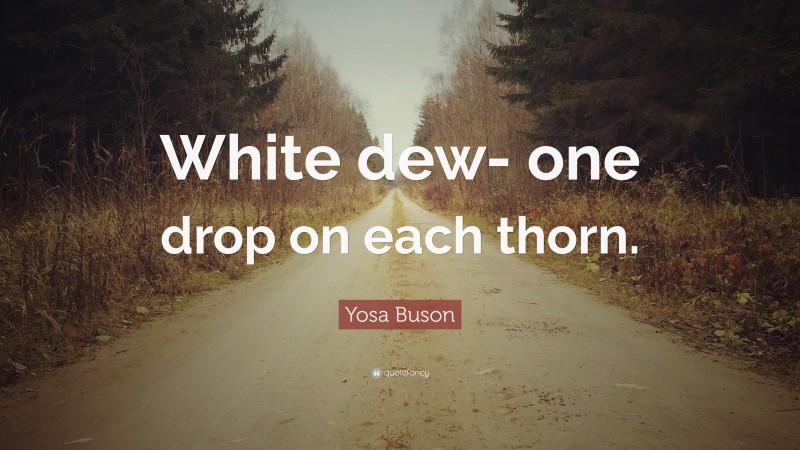 Yosa Buson Quote: “White dew- one drop on each thorn.”