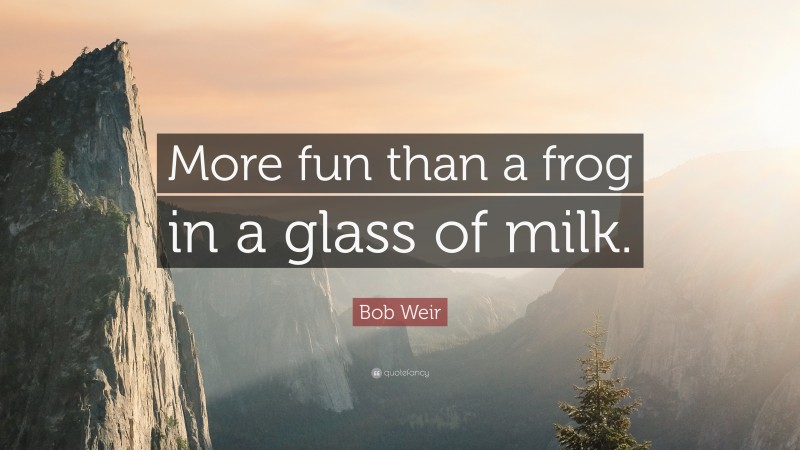 Bob Weir Quote: “More fun than a frog in a glass of milk.”