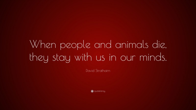 David Strathairn Quote: “When people and animals die, they stay with us in our minds.”