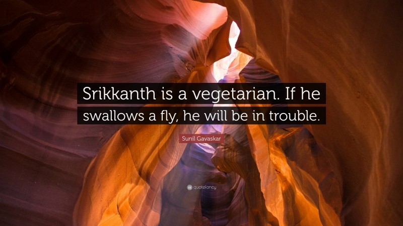 Sunil Gavaskar Quote: “Srikkanth is a vegetarian. If he swallows a fly, he will be in trouble.”