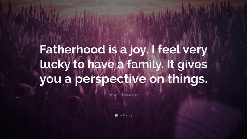 David Harewood Quote: “Fatherhood is a joy. I feel very lucky to have a family. It gives you a perspective on things.”