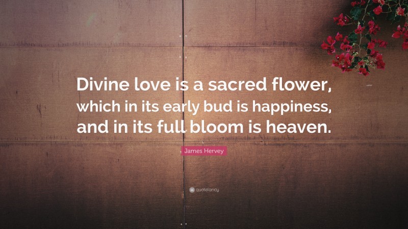 James Hervey Quote: “Divine love is a sacred flower, which in its early bud is happiness, and in its full bloom is heaven.”