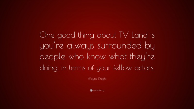 Wayne Knight Quote: “One good thing about TV Land is you’re always surrounded by people who know what they’re doing, in terms of your fellow actors.”