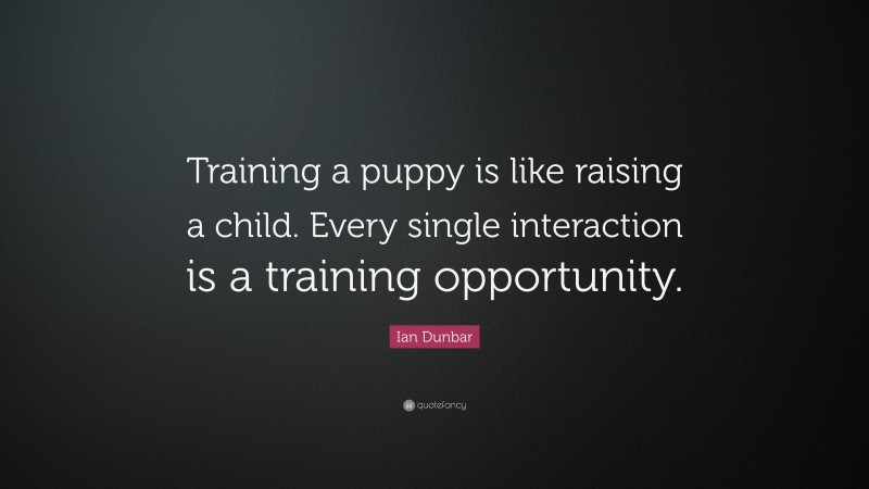 Ian Dunbar Quote: “Training a puppy is like raising a child. Every single interaction is a training opportunity.”