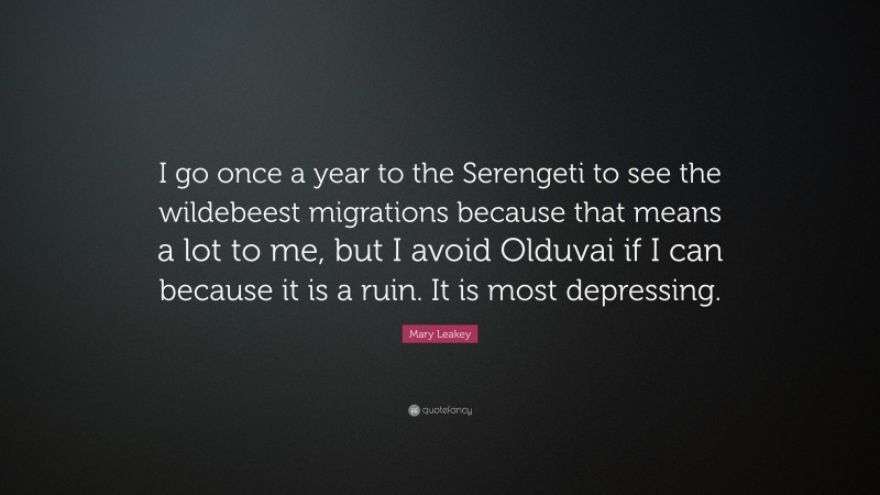 Mary Leakey Quote: “I go once a year to the Serengeti to see the wildebeest migrations because that means a lot to me, but I avoid Olduvai if I can because it is a ruin. It is most depressing.”
