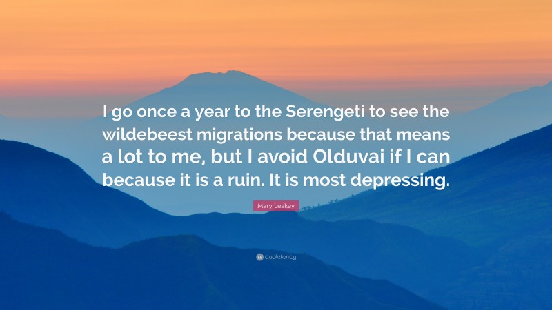 Mary Leakey Quote: “I go once a year to the Serengeti to see the wildebeest migrations because that means a lot to me, but I avoid Olduvai if I can because it is a ruin. It is most depressing.”