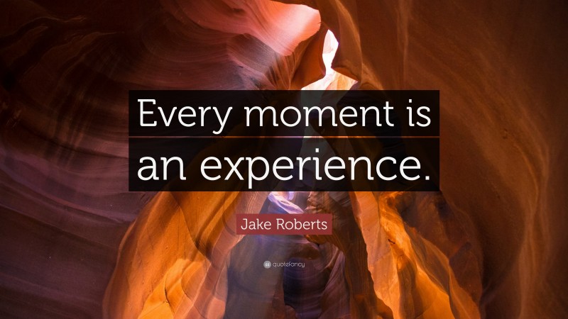 Jake Roberts Quote: “Every moment is an experience.”
