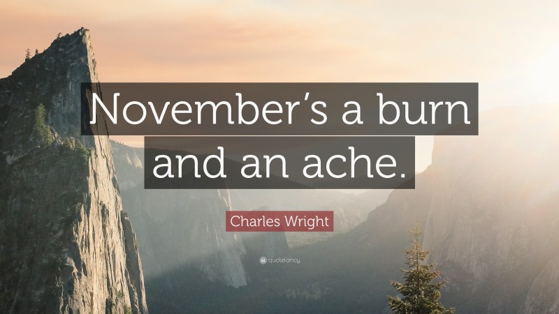 Charles Wright Quote: “November’s a burn and an ache.”