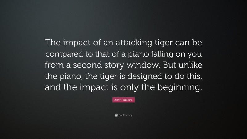 John Vaillant Quote: “The impact of an attacking tiger can be compared to that of a piano falling on you from a second story window. But unlike the piano, the tiger is designed to do this, and the impact is only the beginning.”