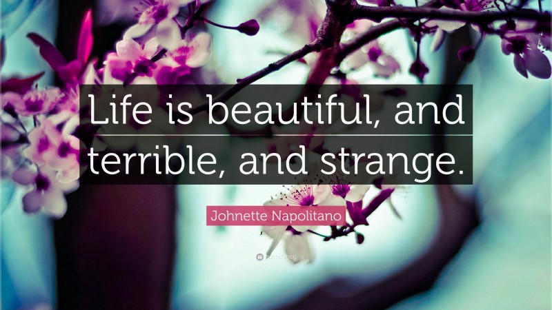 Johnette Napolitano Quote: “Life is beautiful, and terrible, and strange.”