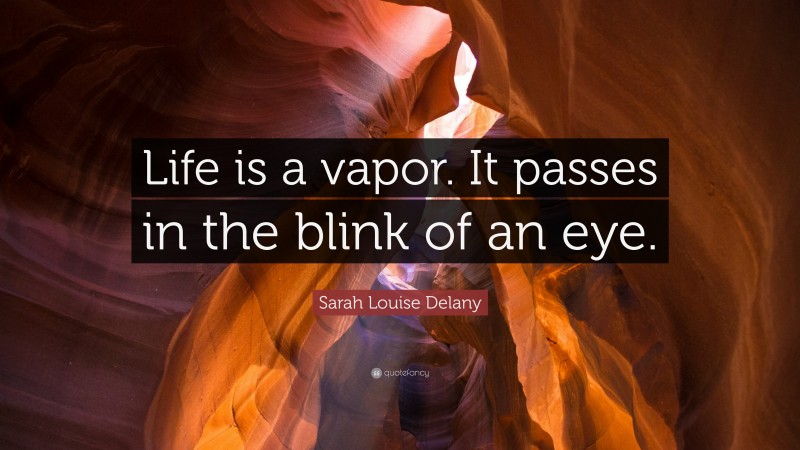 Sarah Louise Delany Quote: “Life is a vapor. It passes in the blink of an eye.”