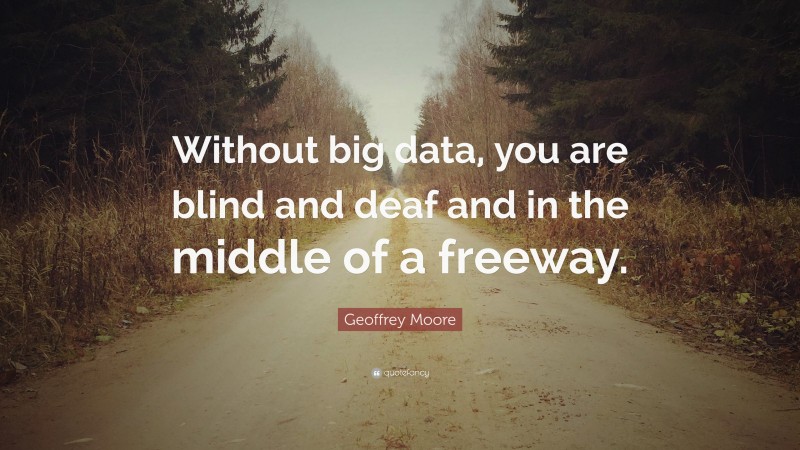 Geoffrey Moore Quote: “Without big data, you are blind and deaf and in the middle of a freeway.”