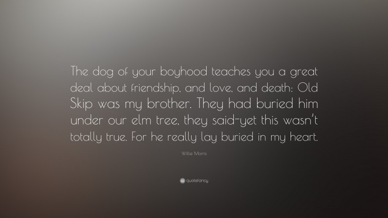 Willie Morris Quote: “The dog of your boyhood teaches you a great deal about friendship, and love, and death: Old Skip was my brother. They had buried him under our elm tree, they said-yet this wasn’t totally true. For he really lay buried in my heart.”