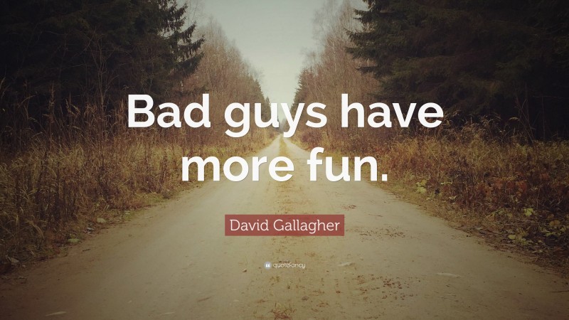 David Gallagher Quote: “Bad guys have more fun.”