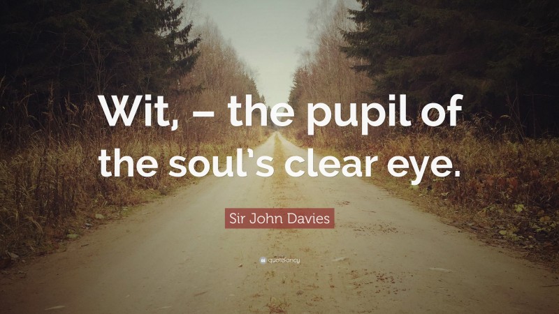 Sir John Davies Quote: “Wit, – the pupil of the soul’s clear eye.”