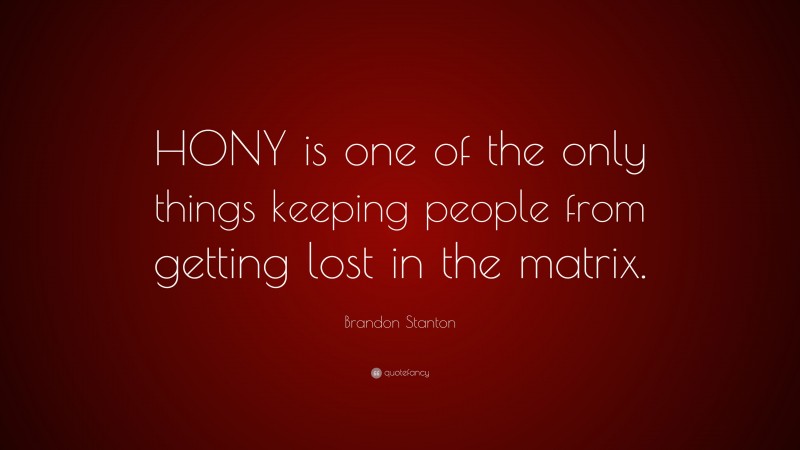 Brandon Stanton Quote: “HONY is one of the only things keeping people from getting lost in the matrix.”