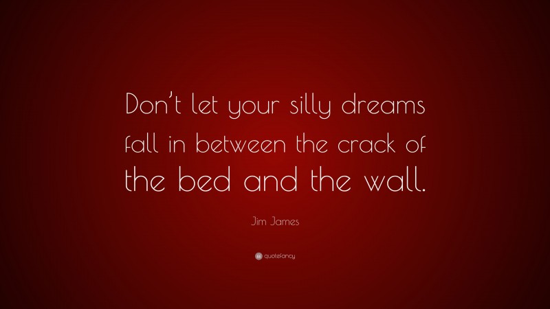 Jim James Quote: “Don’t let your silly dreams fall in between the crack of the bed and the wall.”