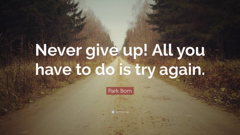 Park Bom Quote: “Never give up! All you have to do is try again.”