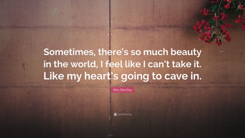 Wes Bentley Quote: “Sometimes, there’s so much beauty in the world, I feel like I can’t take it. Like my heart’s going to cave in.”