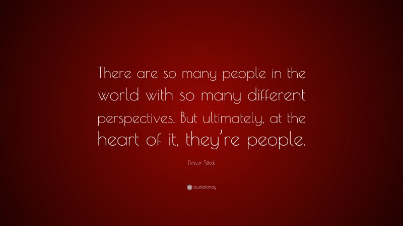 Dave Sitek Quote: “There are so many people in the world with so many different perspectives. But ultimately, at the heart of it, they’re people.”