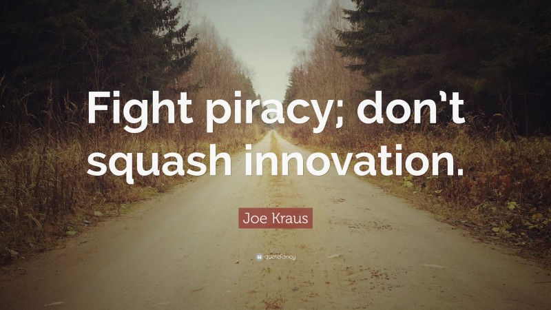 Joe Kraus Quote: “Fight piracy; don’t squash innovation.”