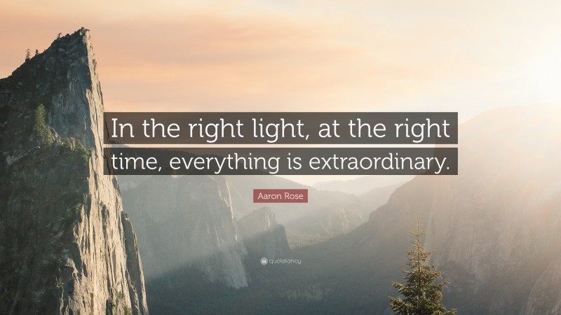 Aaron Rose Quote: “In the right light, at the right time, everything is extraordinary.”