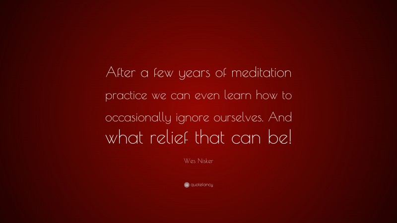 Wes Nisker Quote: “After a few years of meditation practice we can even learn how to occasionally ignore ourselves. And what relief that can be!”