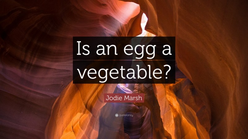 Jodie Marsh Quote: “Is an egg a vegetable?”