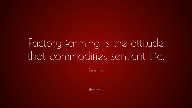 Gene Baur Quote: “Factory farming is the attitude that commodifies sentient life.”