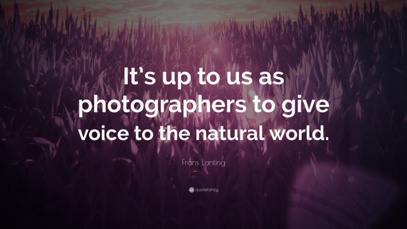 Frans Lanting Quote: “It’s up to us as photographers to give voice to the natural world.”