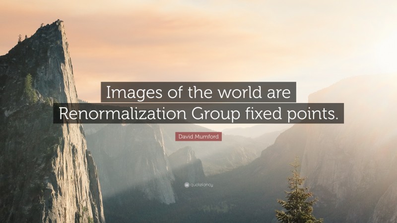 David Mumford Quote: “Images of the world are Renormalization Group fixed points.”