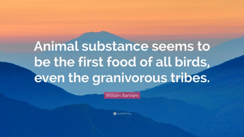William Bartram Quote: “Animal substance seems to be the first food of all birds, even the granivorous tribes.”