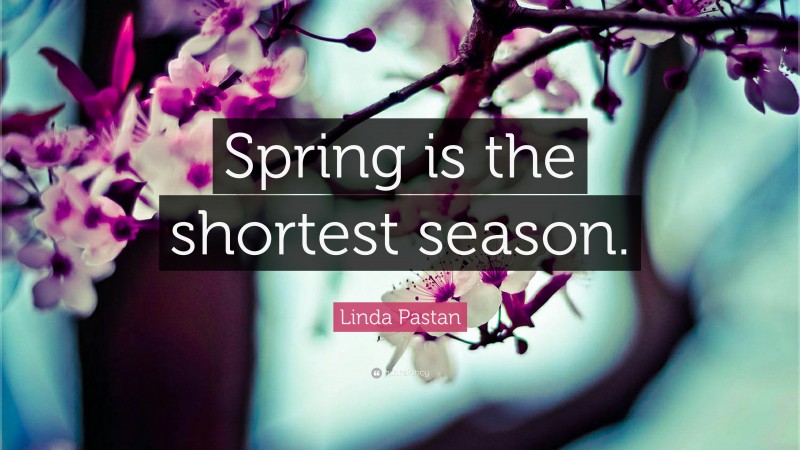 Linda Pastan Quote: “Spring is the shortest season.”