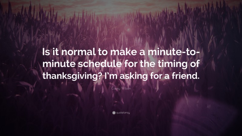 Casey Wilson Quote: “Is it normal to make a minute-to-minute schedule for the timing of thanksgiving? I’m asking for a friend.”