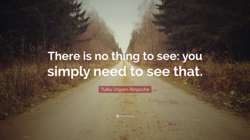 Tulku Urgyen Rinpoche Quote: “There is no thing to see: you simply need to see that.”