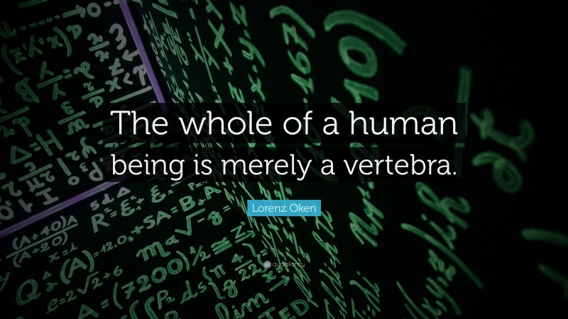 Lorenz Oken Quote: “The whole of a human being is merely a vertebra.”
