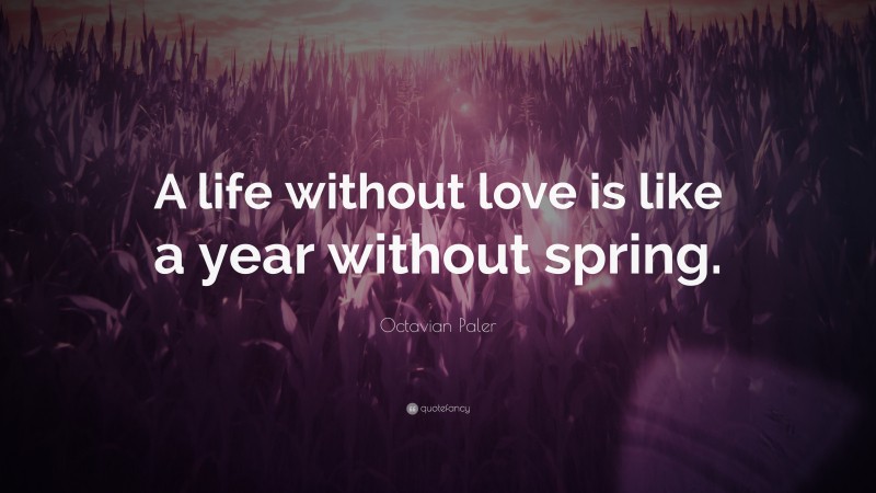 Octavian Paler Quote: “A life without love is like a year without spring.”